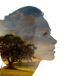 Le développement durable, l’un des piliers de HMY