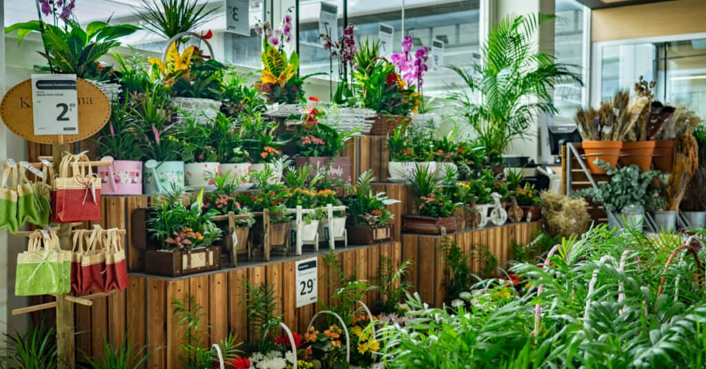 5 tips for redesigning your shops and making them environmentally responsible